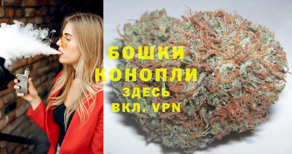 стафф Арсеньев