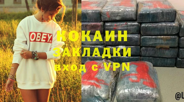 стафф Арсеньев
