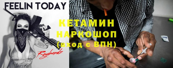 стафф Арсеньев